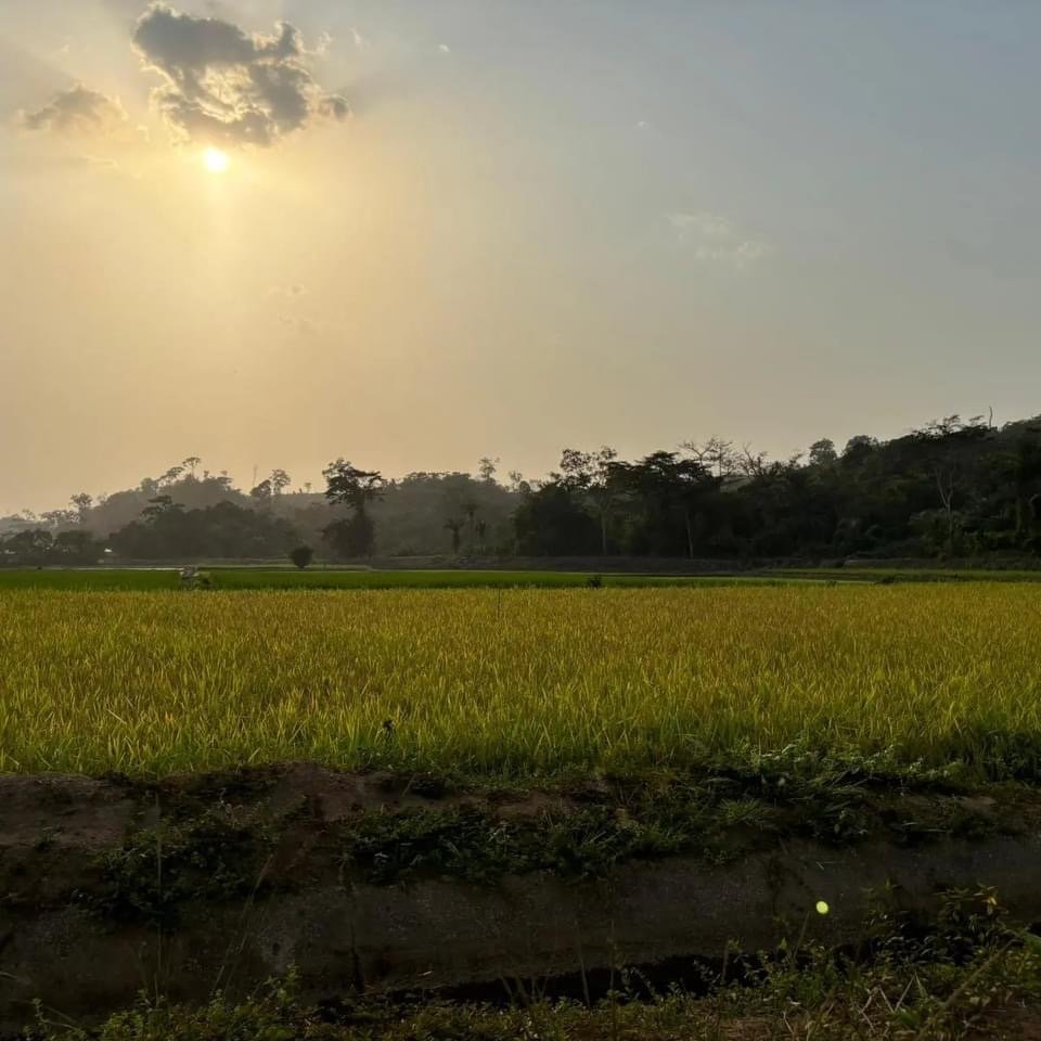 WhatsApp Image 2024-06-17 at 9.40.51 AM